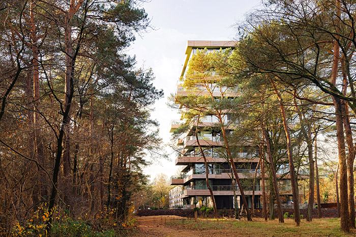 orange architects beaufort 03 into the forest