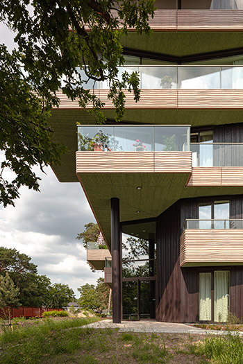 orange architects beaufort 05 entrance