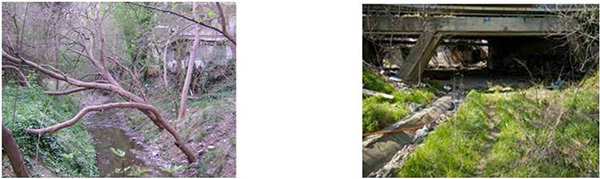 ρέμα Κωνσταντινίδη ρέμα Κωνσταντινίδη